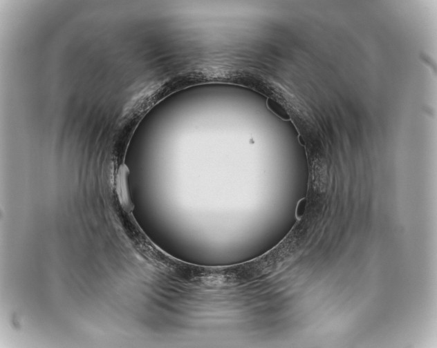 X0000096200740200802011259