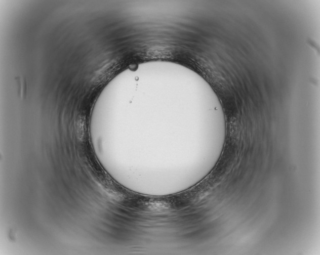 X0000096200741200802011259