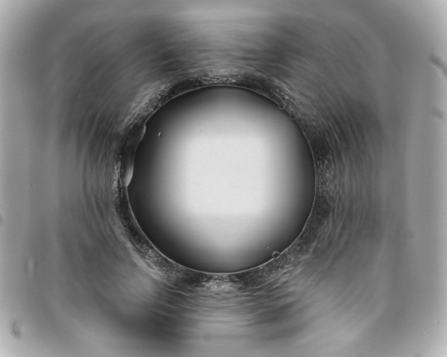 X0000096200742200802011259