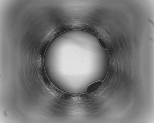 X0000096200744200802011259