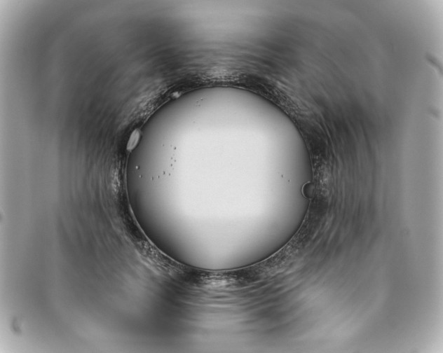 X0000096200746200802011259