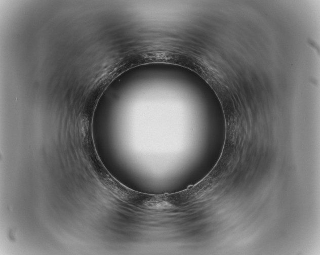 X0000096200747200802011259