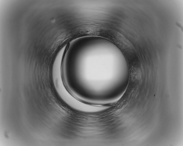 X0000096200748200802011259