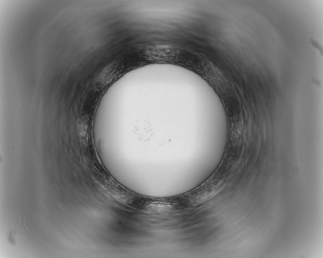 X0000096200749200802011259