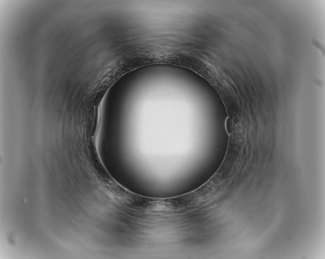 X0000096200750200802011259