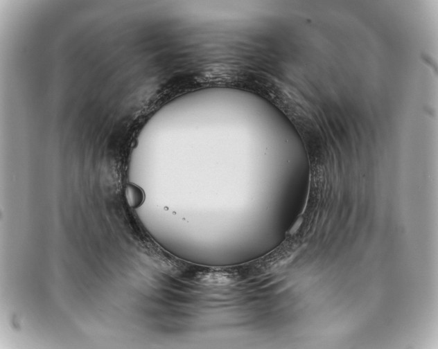 X0000096200751200802011259