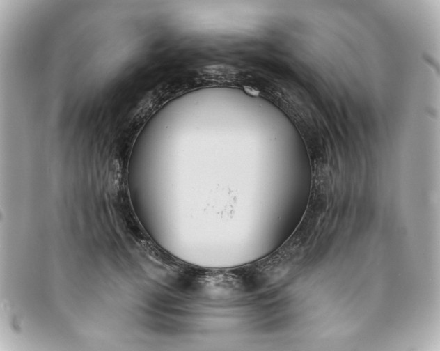 X0000096200752200802011259