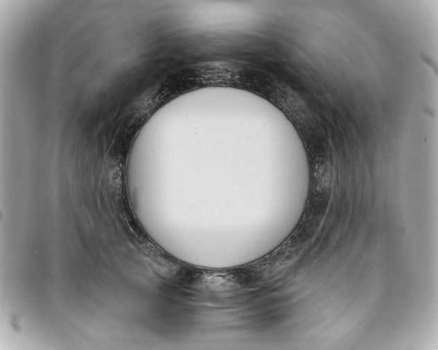 X0000096200753200802011259