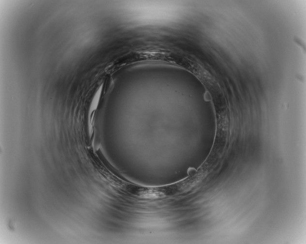 X0000096200754200802011259