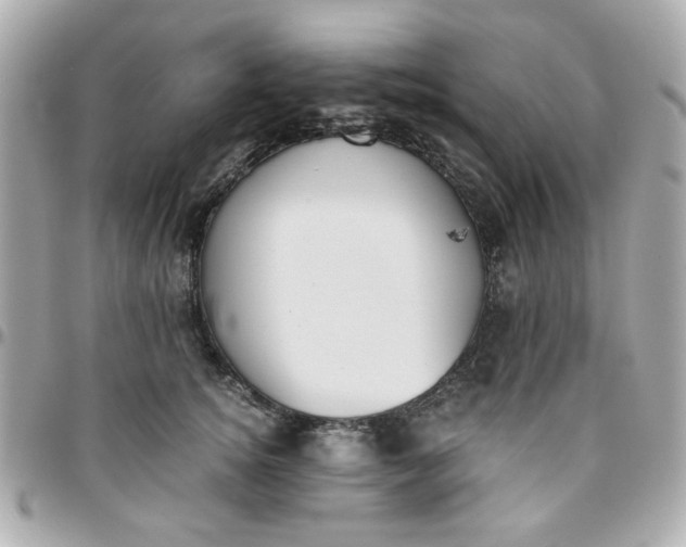 X0000096200756200802011259