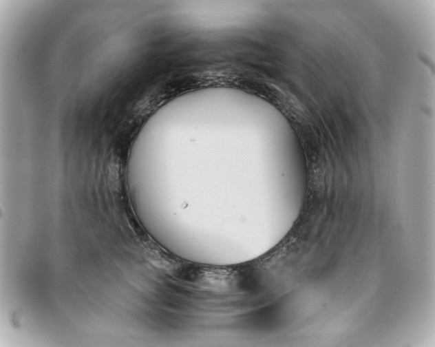 X0000096200757200802011259