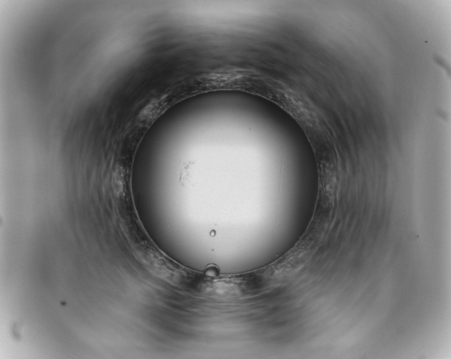 X0000096200758200802011259