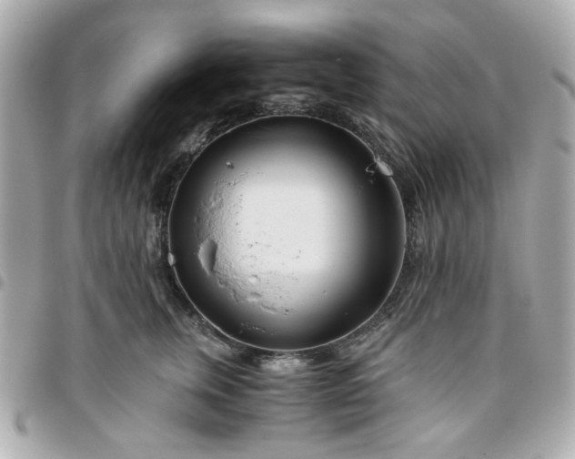 X0000096200759200802011259