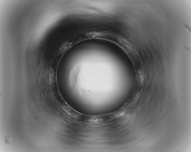 X0000096200760200802011259