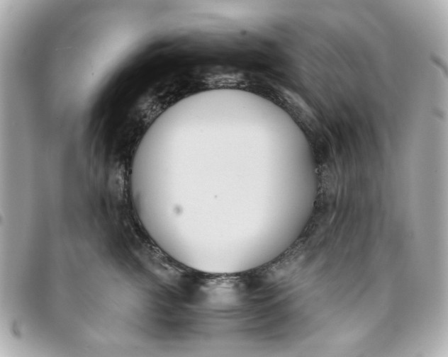 X0000096200761200802011259