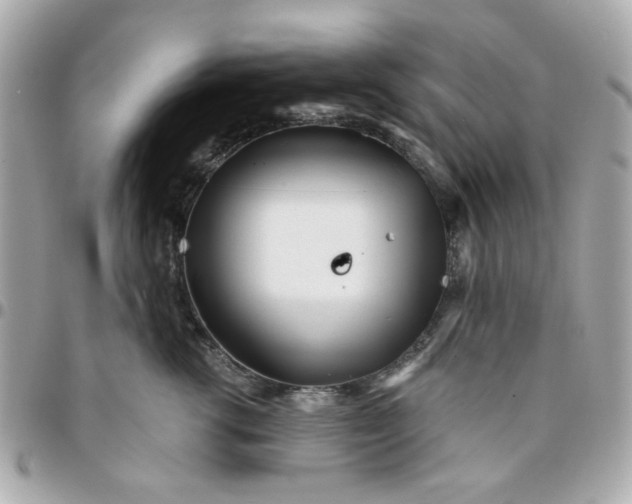 X0000096200762200802011259