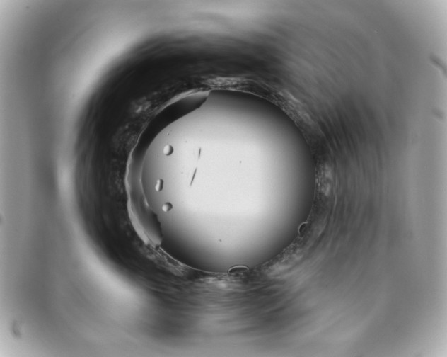 X0000096200763200802011259