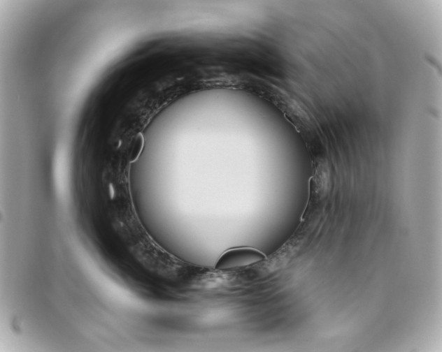 X0000096200764200802011259