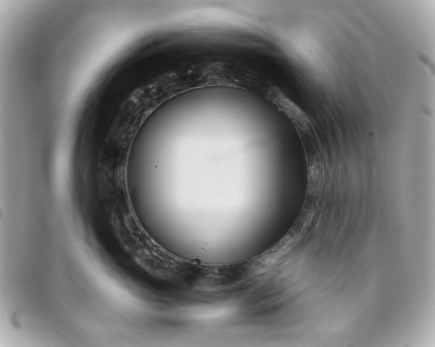 X0000096200765200802011259