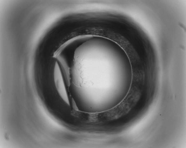 X0000096200766200802011259