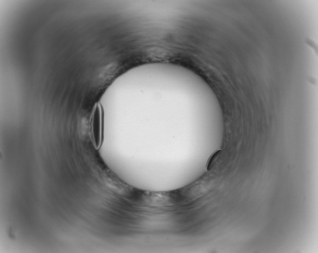 X0000096200768200802011300