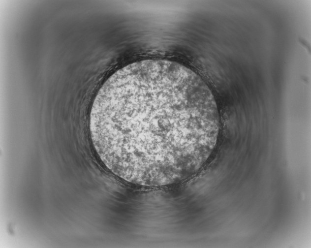 X0000096200769200802011259