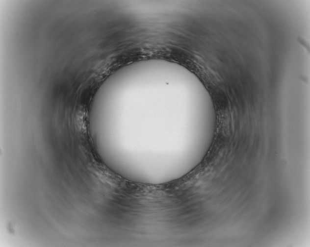 X0000096200770200802011259