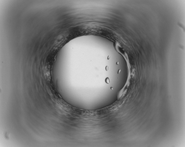 X0000096200771200802011259