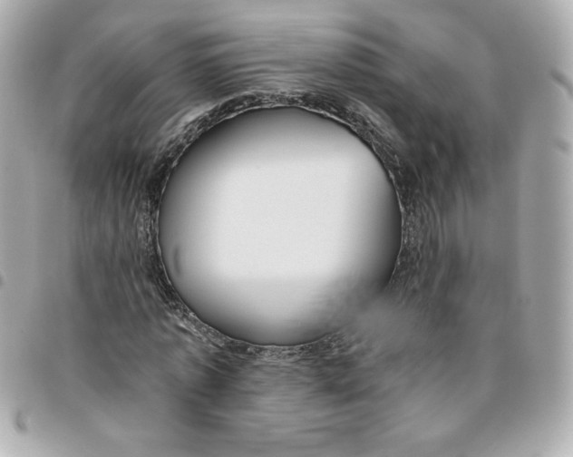 X0000096200773200802011259