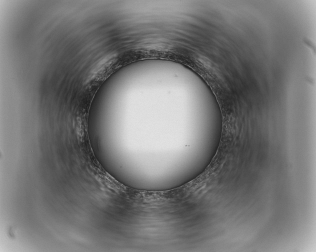 X0000096200774200802011259