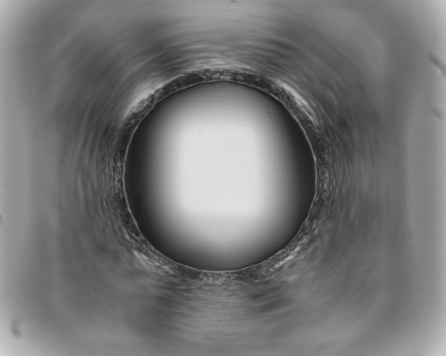 X0000096200775200802011259