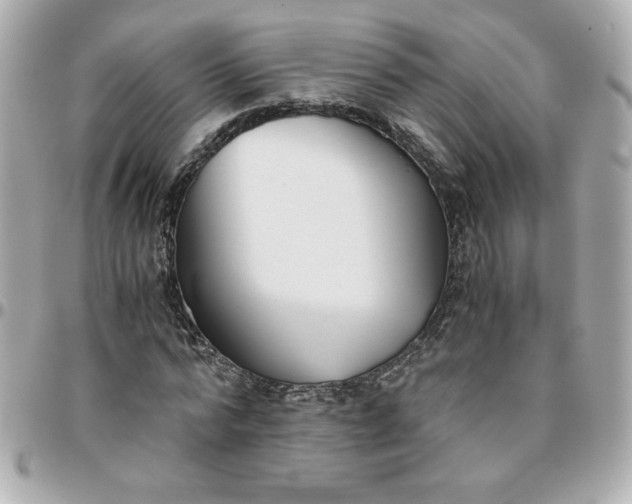 X0000096200776200802011259