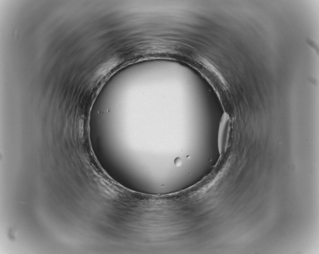 X0000096200777200802011259