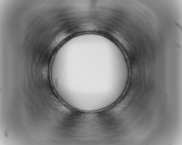 X0000096200778200802011259