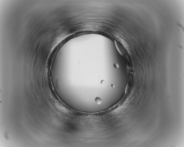 X0000096200779200802011259