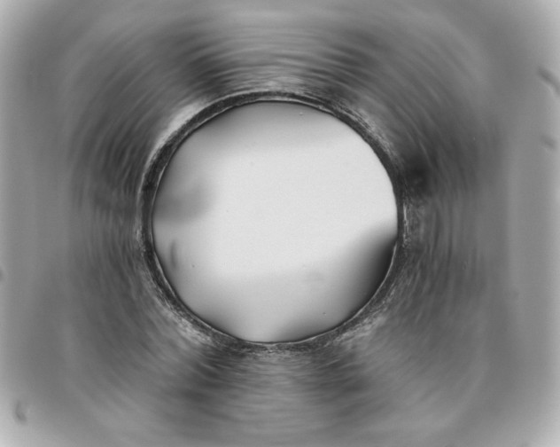 X0000096200780200802011259