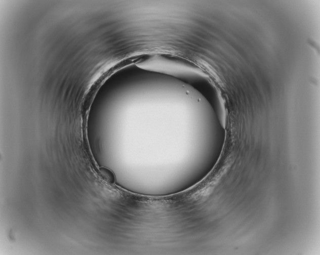 X0000096200781200802011259