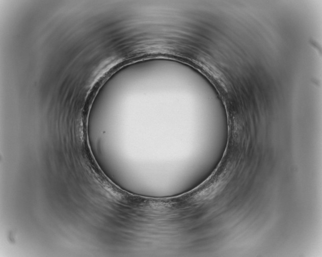 X0000096200782200802011259