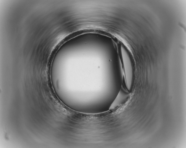 X0000096200783200802011259