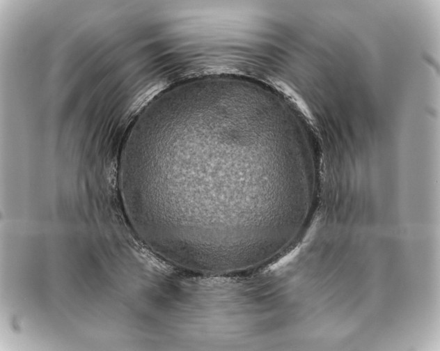 X0000096200785200802011259