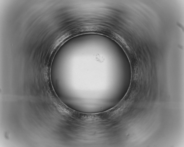 X0000096200786200802011259