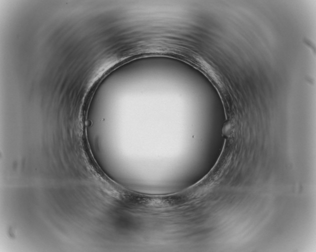 X0000096200787200802011259