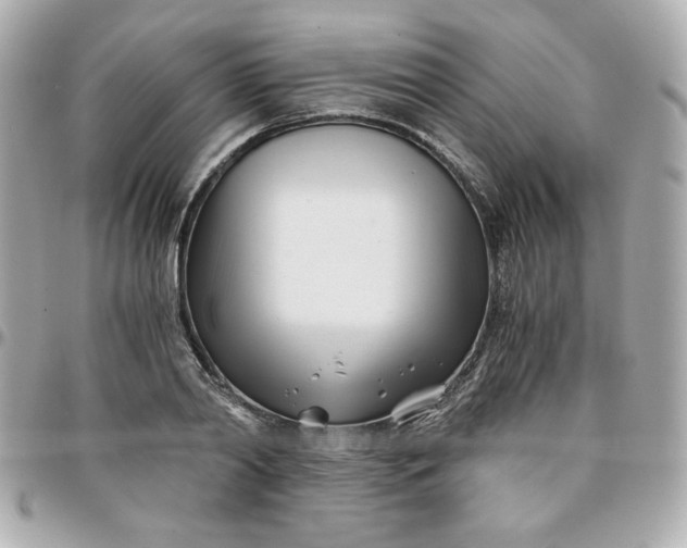 X0000096200790200802011259