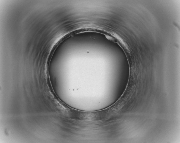 X0000096200791200802011259