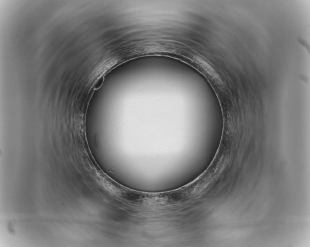 X0000096200793200802011259