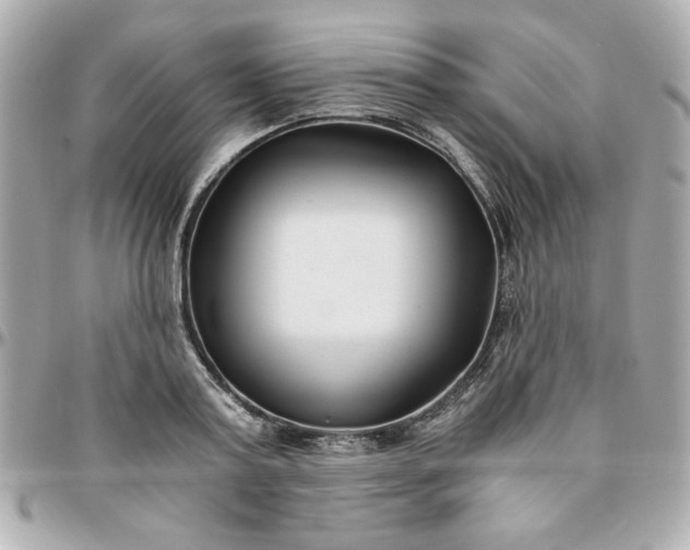 X0000096200795200802011259