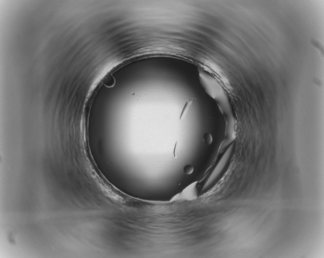 X0000096200796200802011258