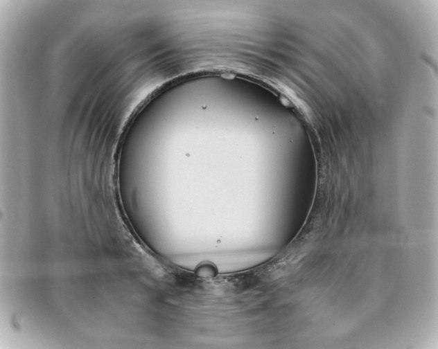 X0000096200799200802011258