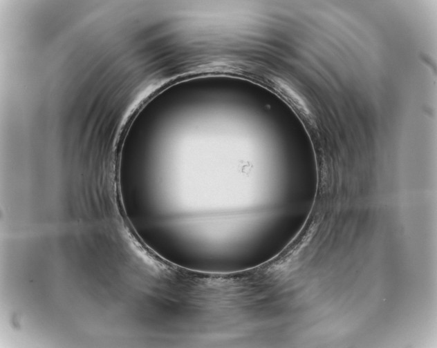 X0000096200800200802011258