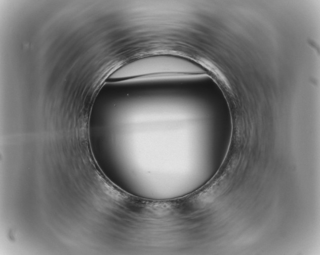 X0000096200801200802011258